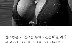 여자 가슴을 10분간 바라보면 건강해진다는 연구 결과