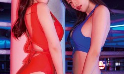 당신은 좌파인가요? 우파인가요?